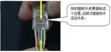双绞线水晶头T586A与T586B接法全过程指南